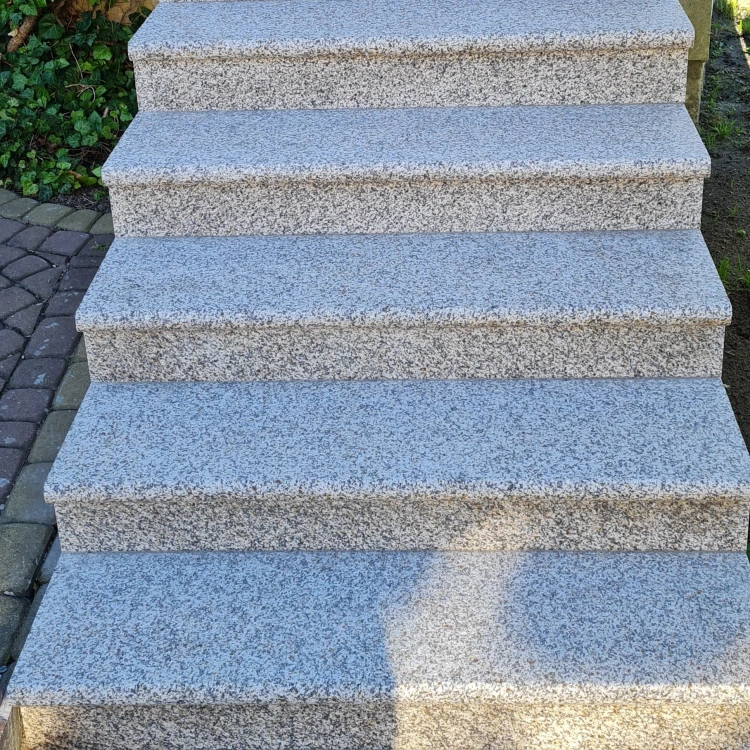 8464