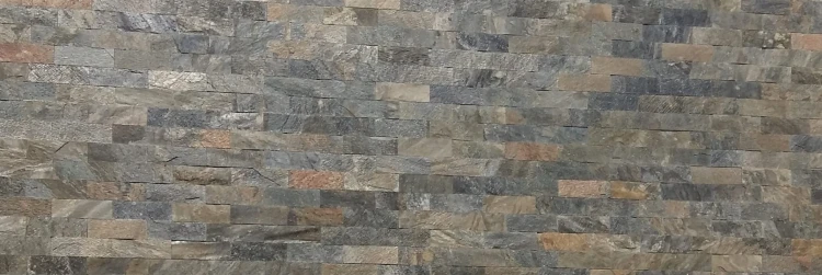 6229
